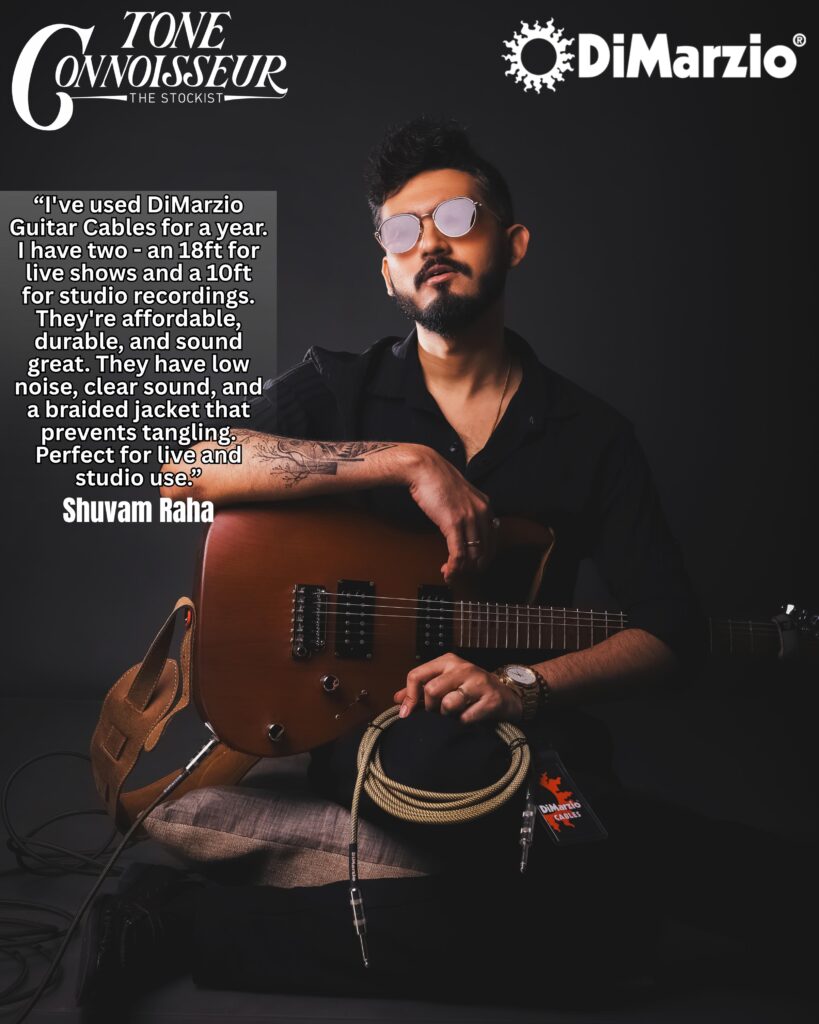Dimarzio cables the stockist shuvam raha poster